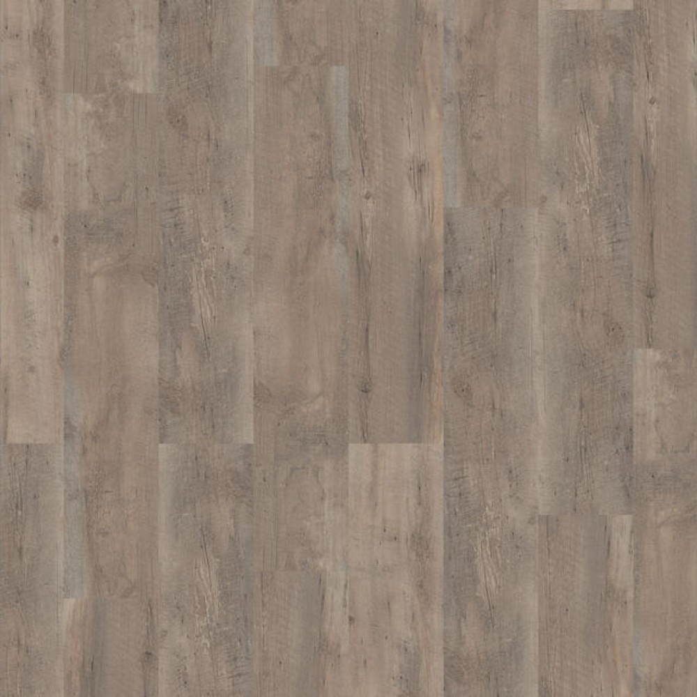 Βινυλικό Δάπεδο Πάτωμα σειρά Primary Pine Grege 3977018 Tarkett