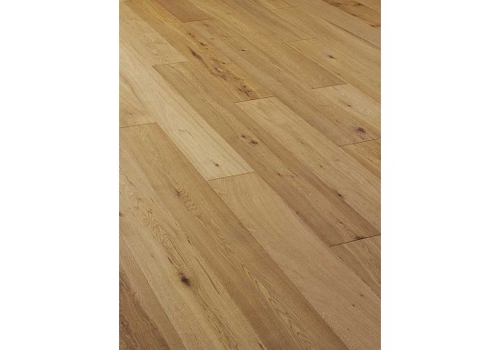 ΔΡΥΣ Β Δρυς